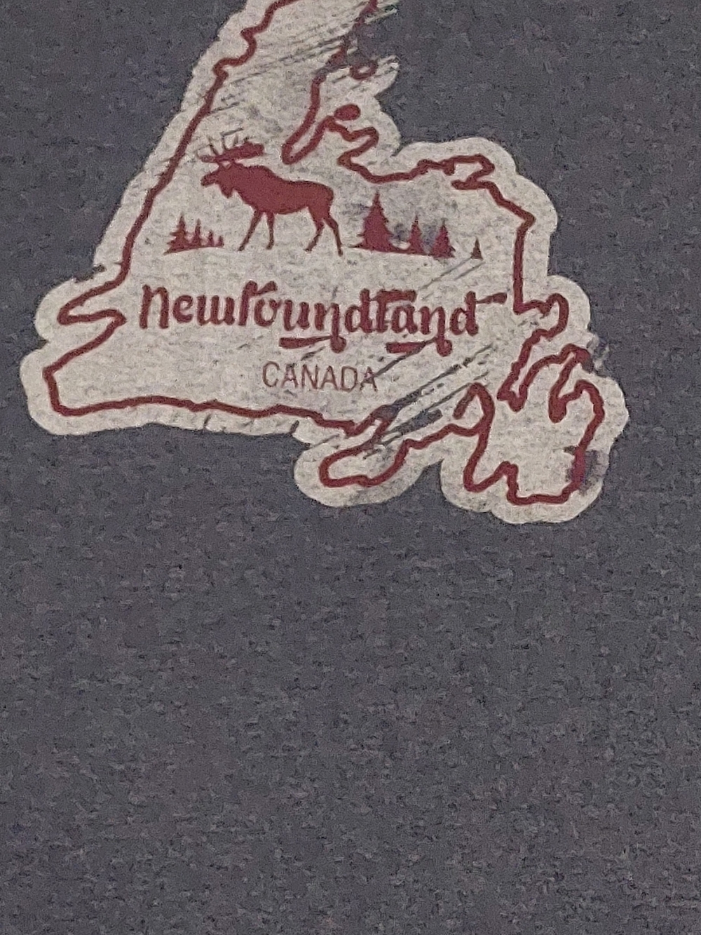 Newfoundland Canada Graphic Crewneck Shirt - Charcoal